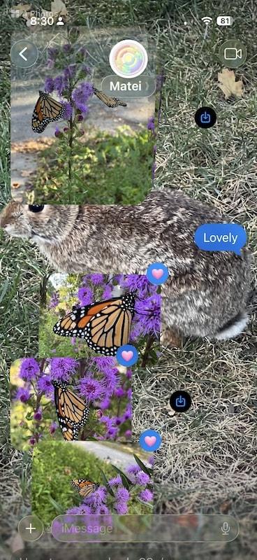 Apple design evolution