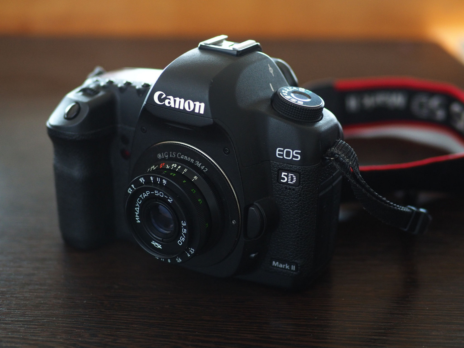 Industar-50-2 sample photo