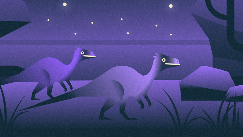 Velociraptor illustration