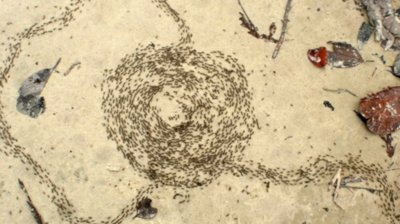 Spiral resource consumption