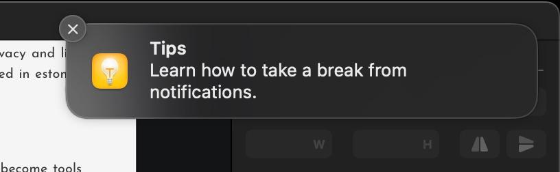 Search bar inconsistency