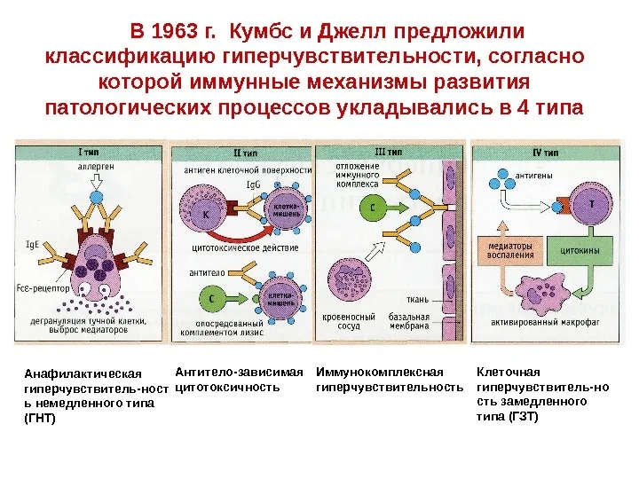 Immune attack on red blood cells