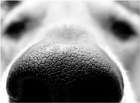 Suspicious ATM location