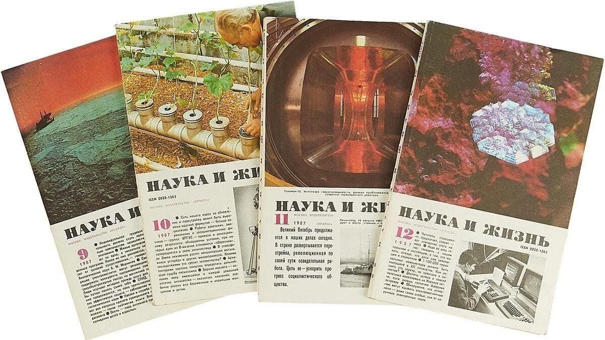 Perforated index cards