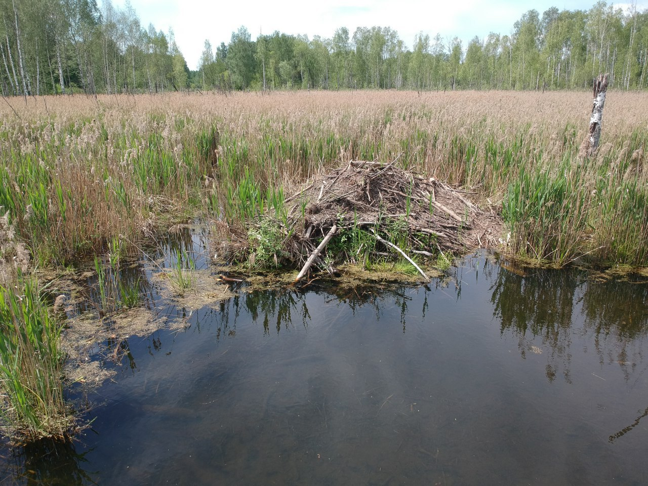 Dam showing water flow changes