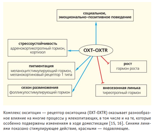 Cross-fostering experiment