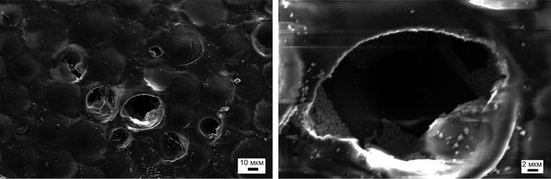 Either a destroyed sphere or one torn from the carrier polymer