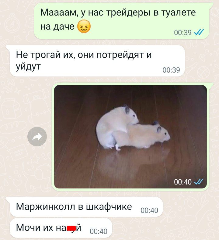 Margin loan explanation