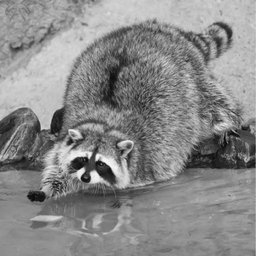 Pixel correlation scatter plot