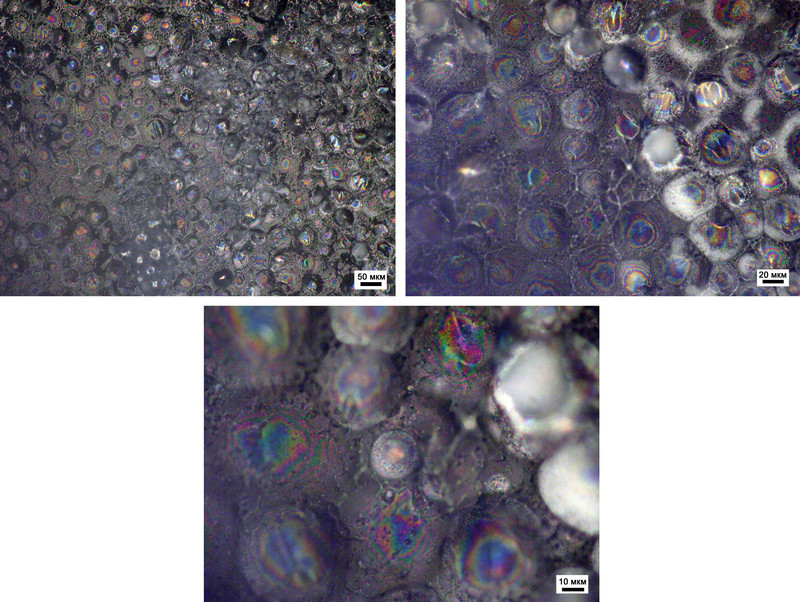 Optical microphotograph of the ink