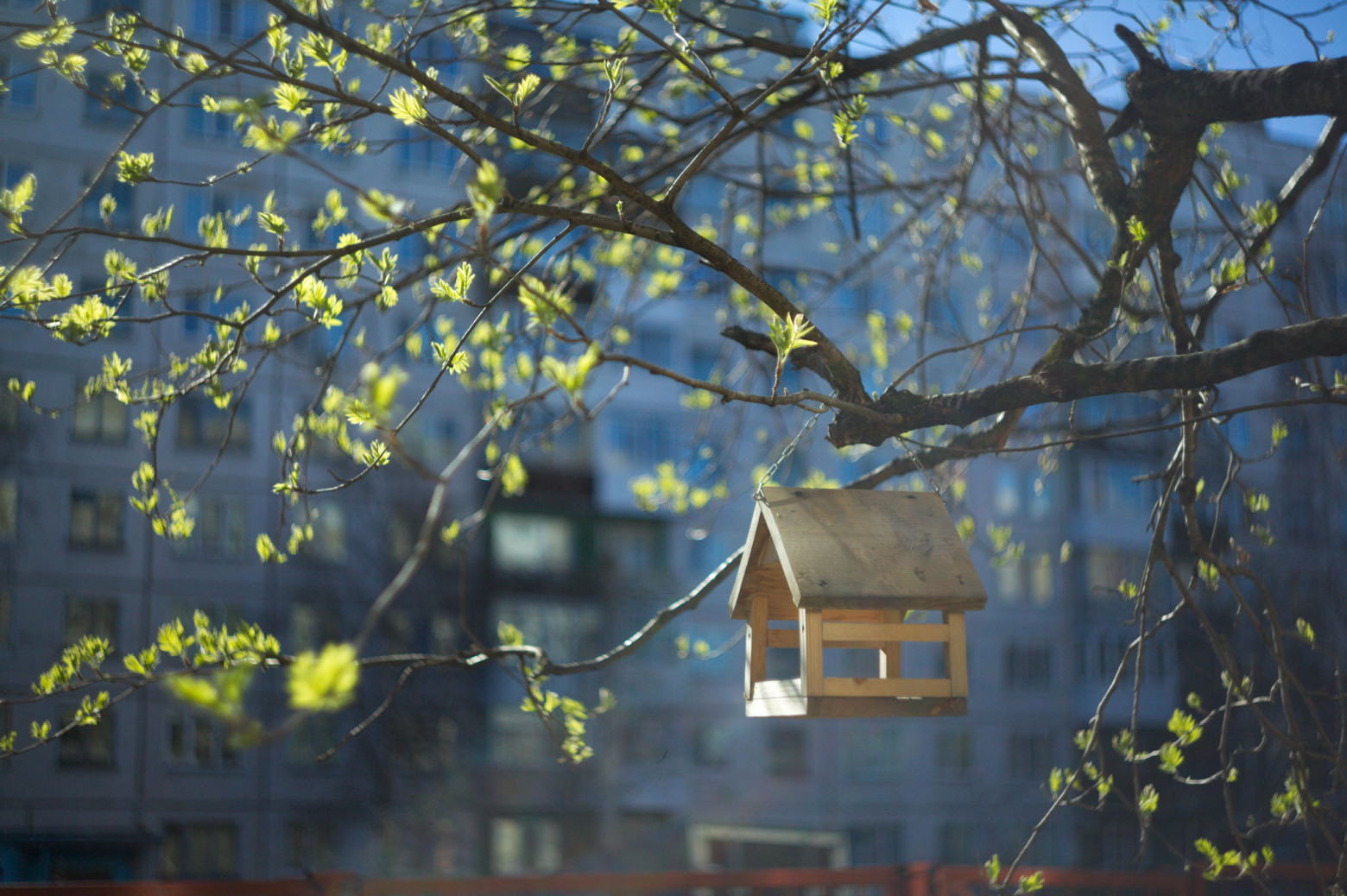 Canon 5D Mark II with adapter