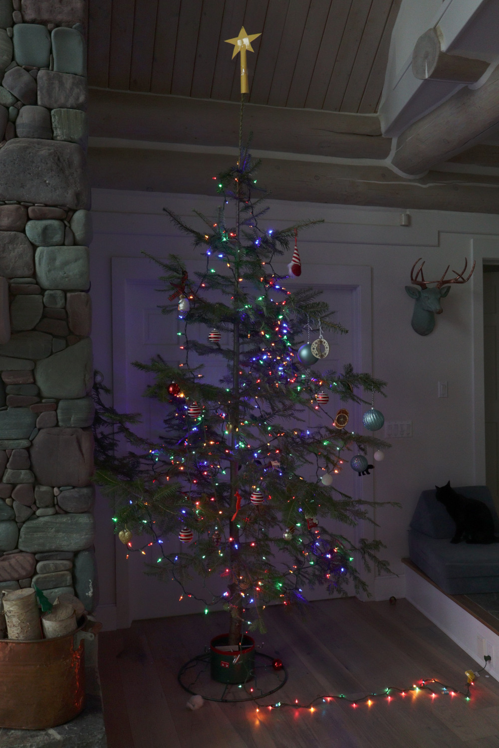 Camera JPEG output for comparison