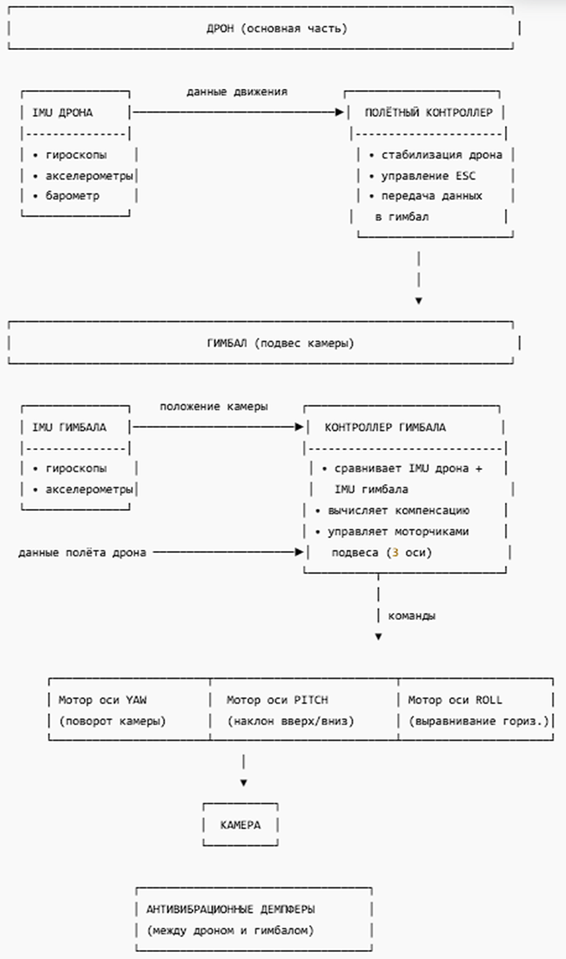 Shenzhen tech ecosystem
