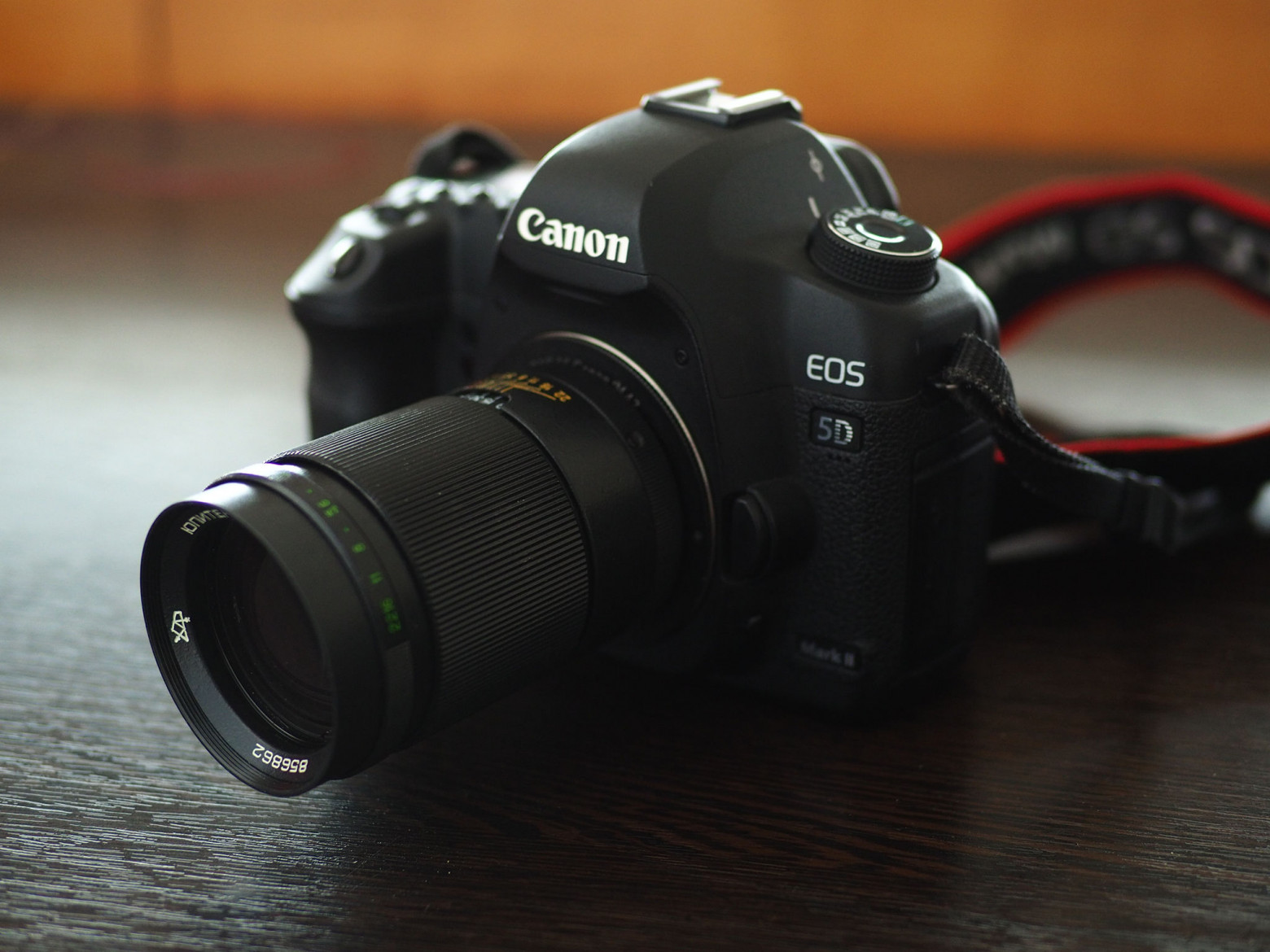 Helios-44 bokeh detail