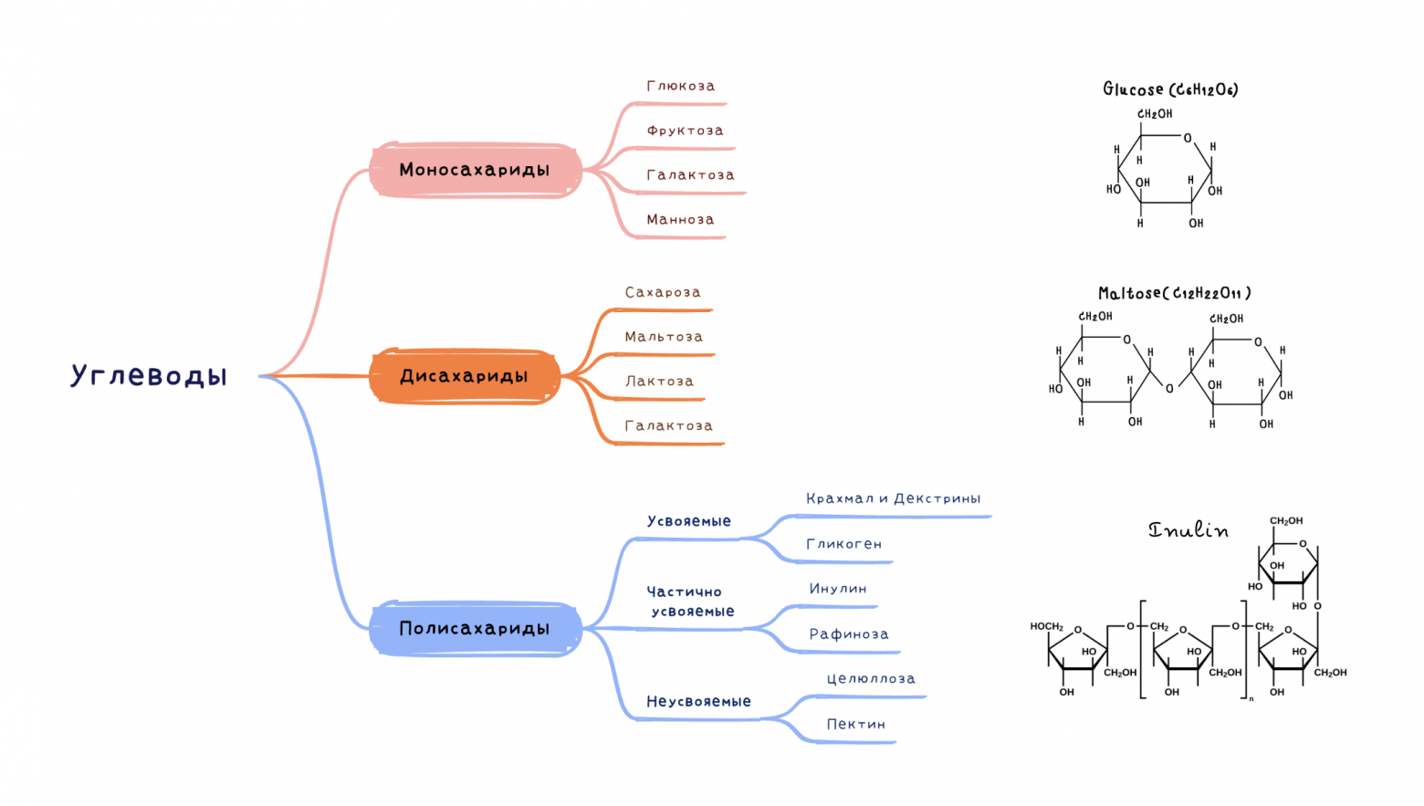 Sugar alternatives overview