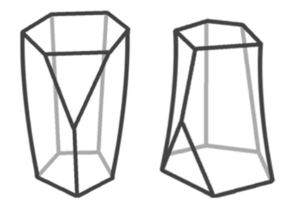 Scutoid in tissue