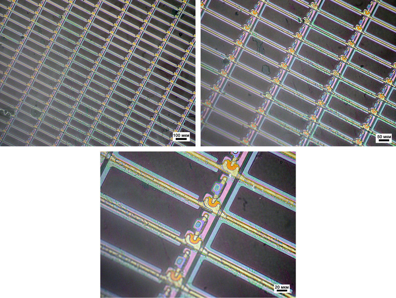 In the optical microscope — in color...