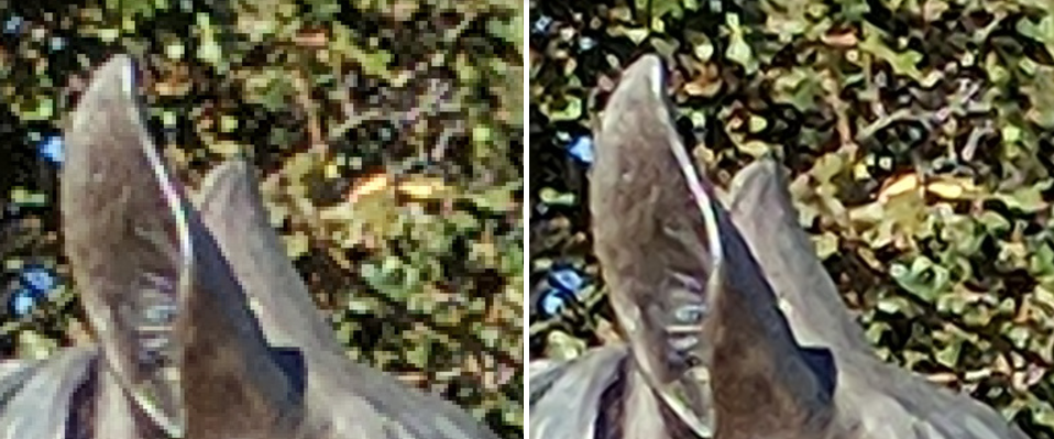 Comparison of interpolation methods