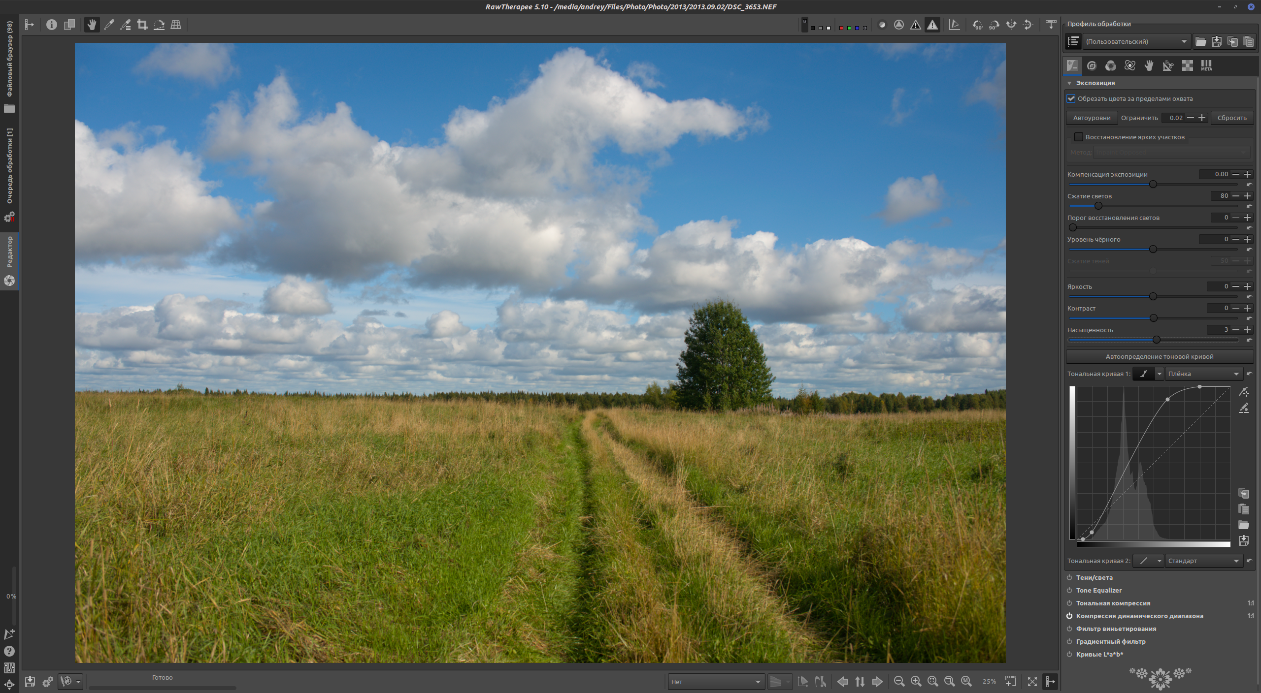 RawTherapee contrast adjustment