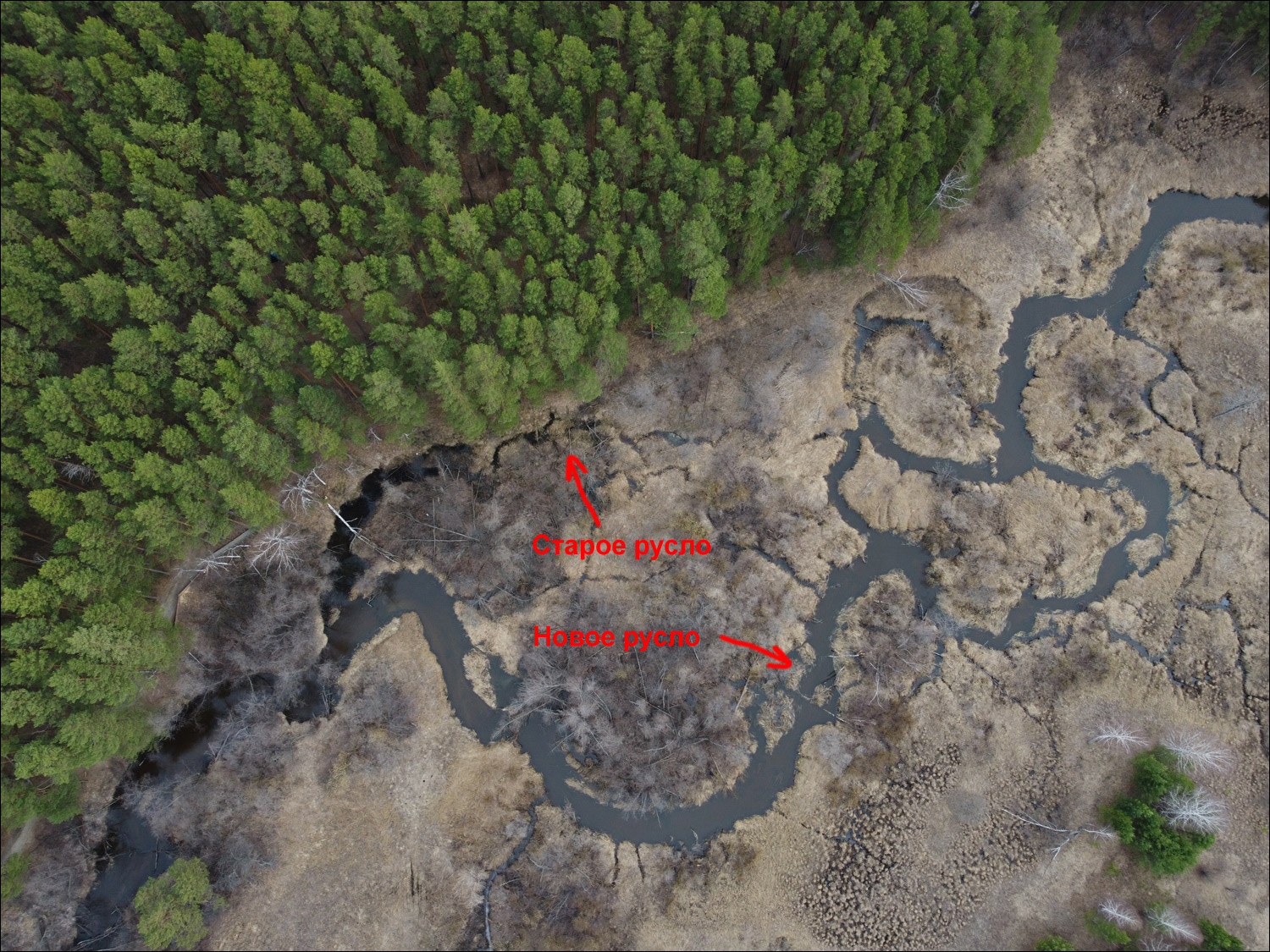 Aerial view of lodge, dam, and diversion channel