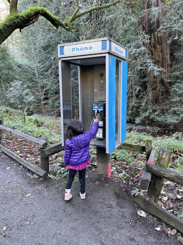 How I Installed a Payphone at Home