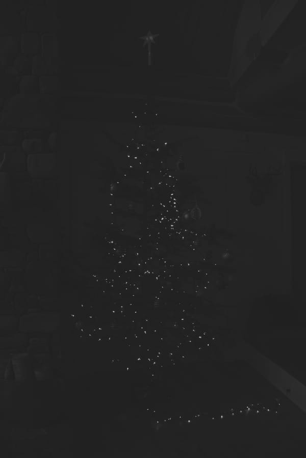 What Unprocessed Photos Actually Look Like