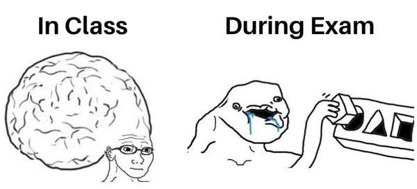 On the Mathematical Abilities of Students, or How to Teach an Overloaded Brain