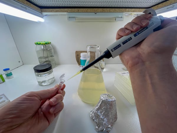 DIY Microclonal Laboratory: Plant Tissue Culture at Home