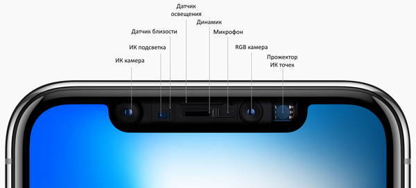 Why the iPhone Has a Chip That Kills FaceID