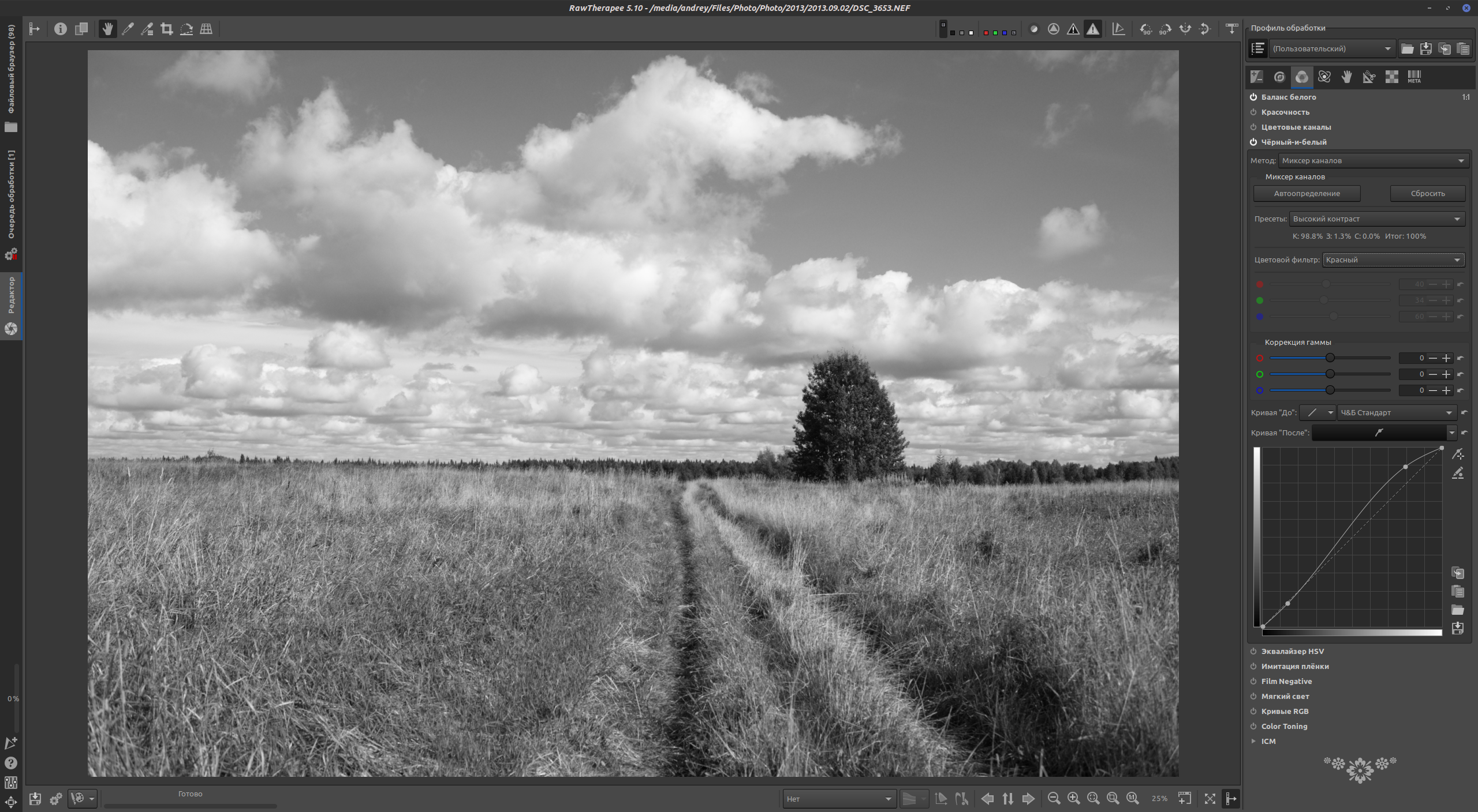 RawTherapee red filter applied