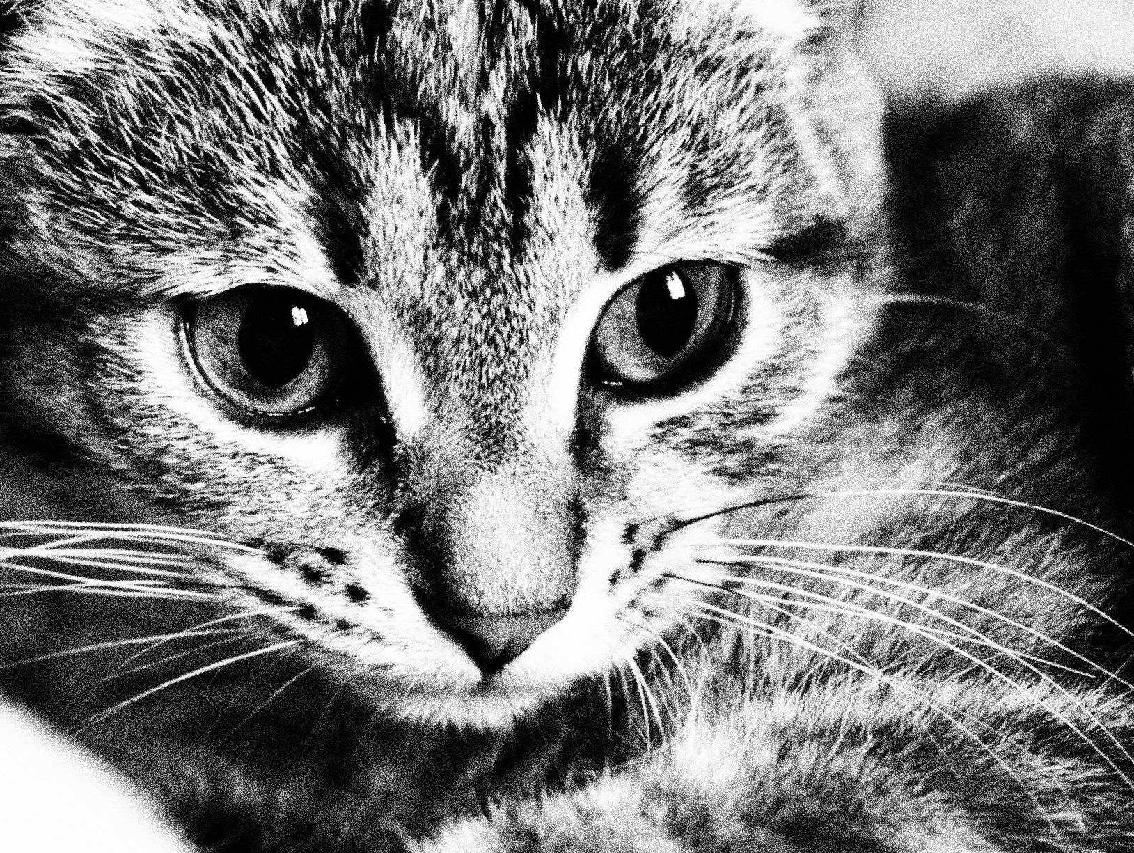 Grain detail close-up