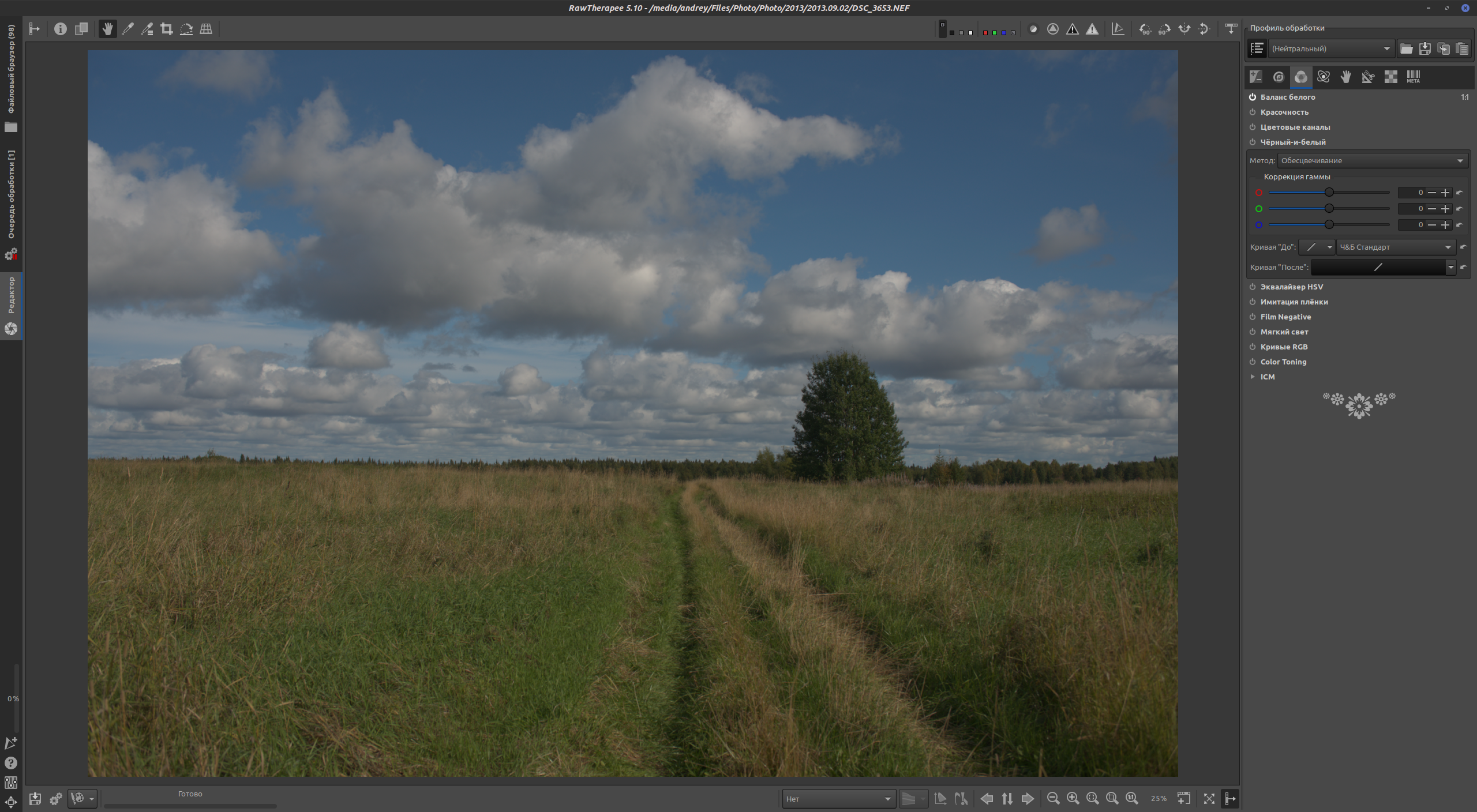 RawTherapee original image